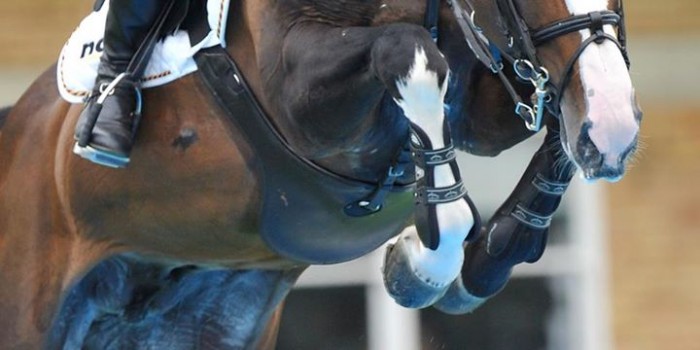 Photo de profil de sarahlysa