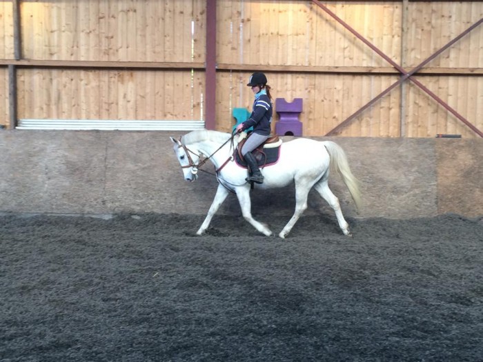 Photo de profil de sarloush