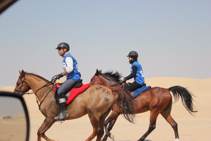 Photo de profil de saroukh