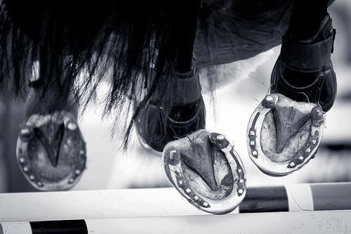 Photo de profil de saroushh