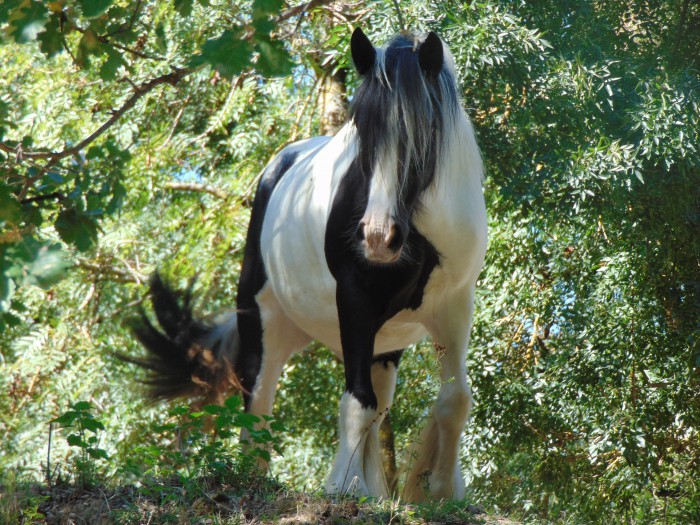 Photo de profil de sckat