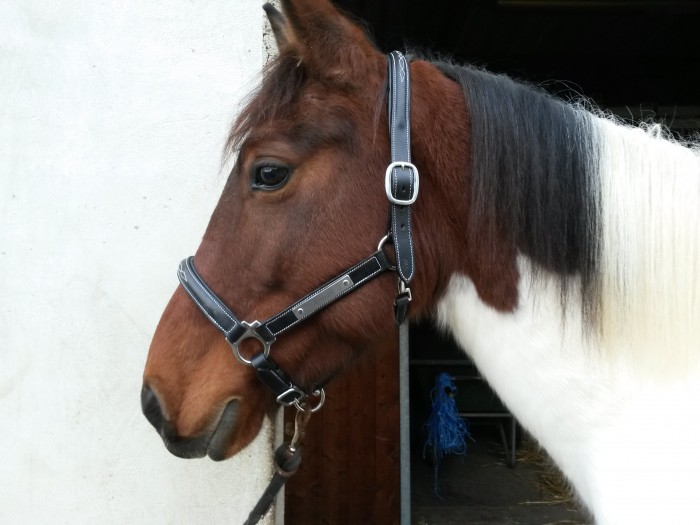 Photo de profil de selenya