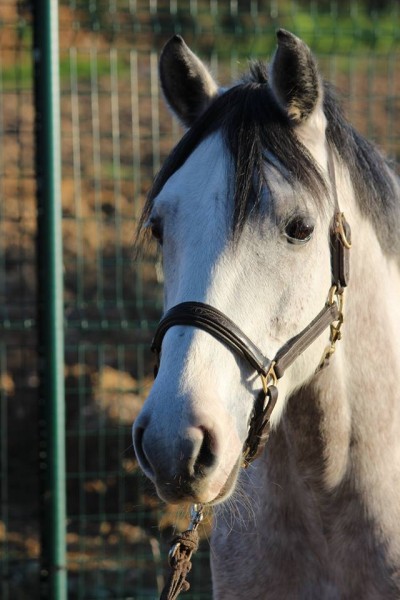 Photo de profil de sev83160