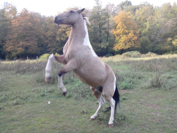 Photo de profil de sev98