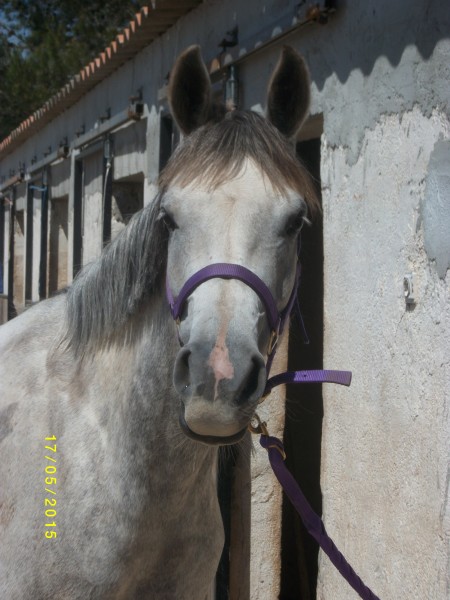 Photo de profil de sham83