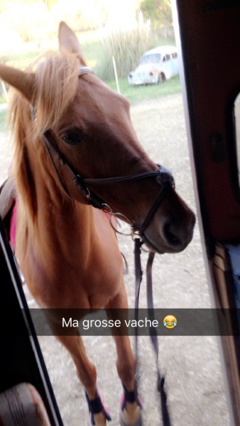 Photo de profil de shanna06