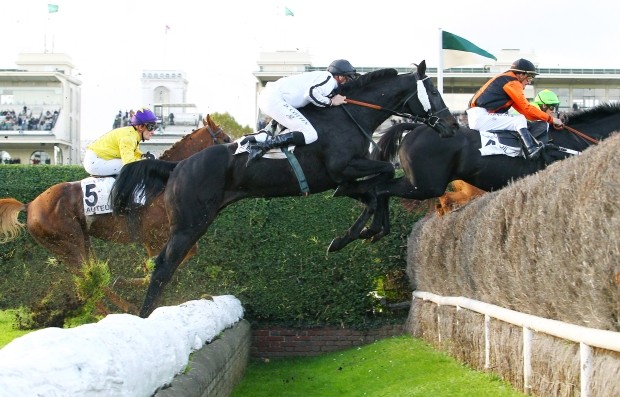 Photo de profil de shaval