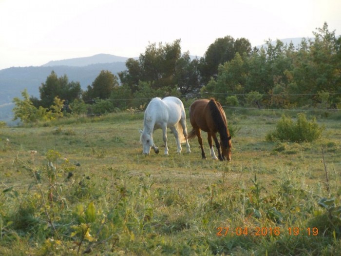 Photo de profil de siana152