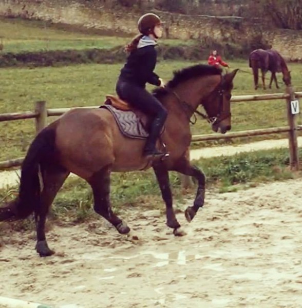 Photo de profil de sidisaad