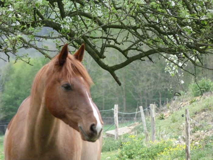 Photo de profil de simbadla