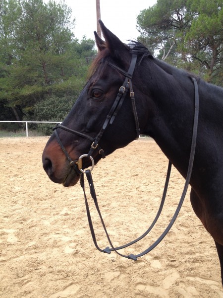 Photo de profil de slzc