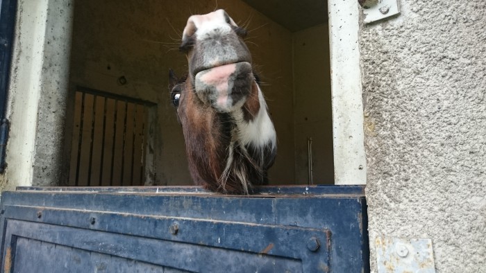 Photo de profil de sofi49