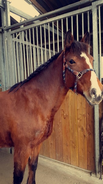 Photo de profil de solene-c