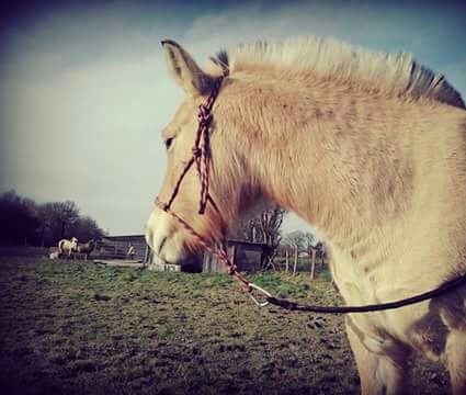 Photo de profil de solennarmony16