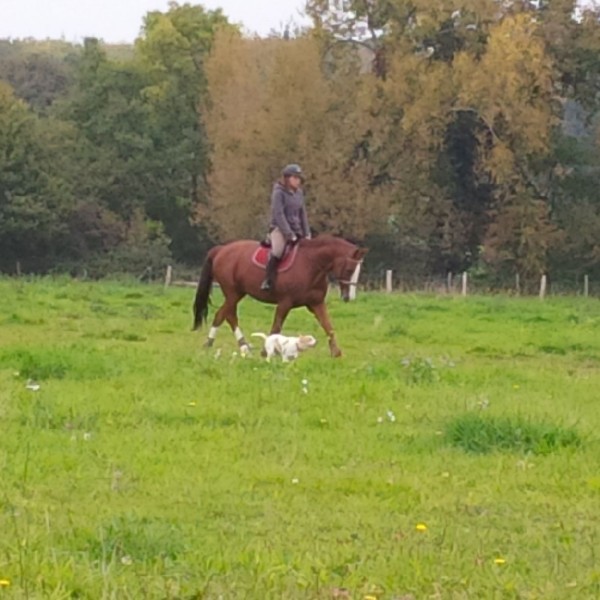 Photo de profil de soph72ie