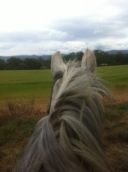 Photo de profil de sophia.louxor