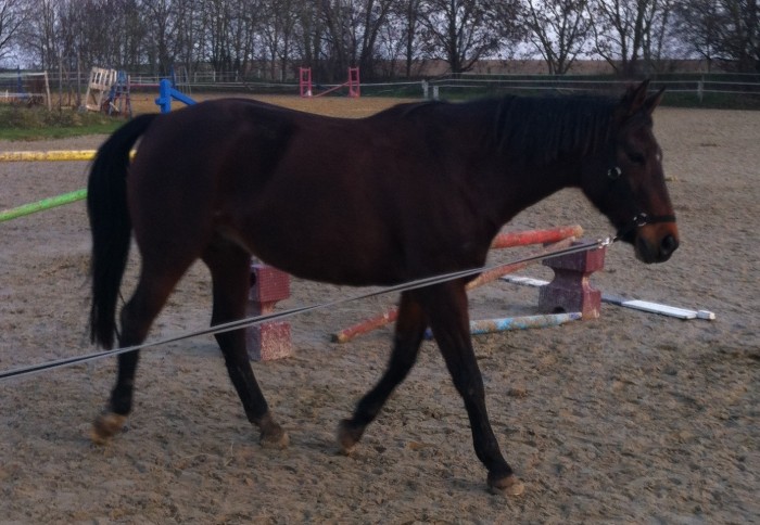 Photo de profil de sophie76