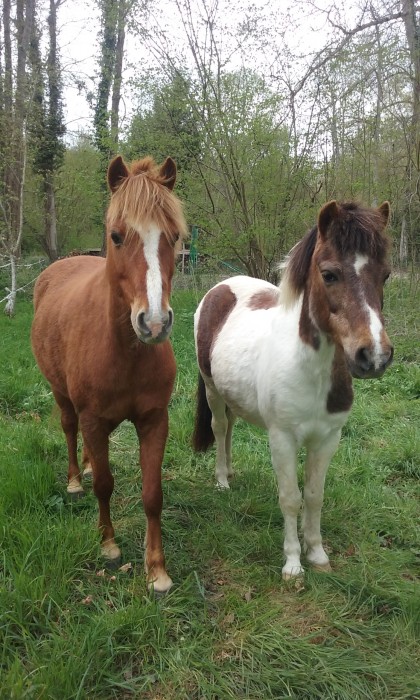 Photo de profil de sophiec45