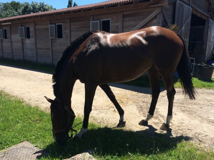 Photo de profil de sophie.chan