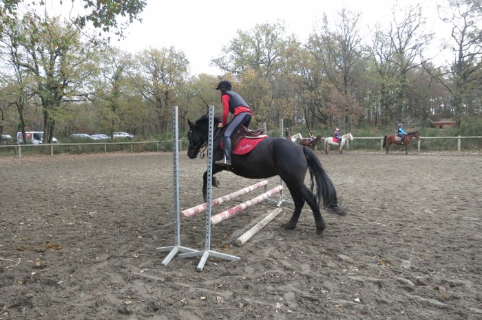 Photo de profil de sophiegarcia31