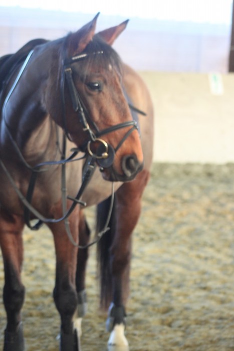 Photo de profil de sophienotr