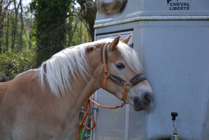 Photo de profil de sopieho