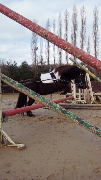 Photo de profil de sosks78