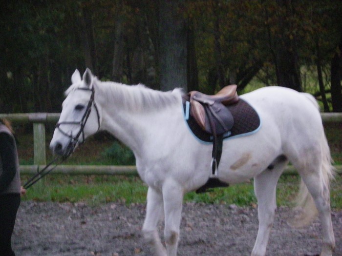 Photo de profil de sossodu22