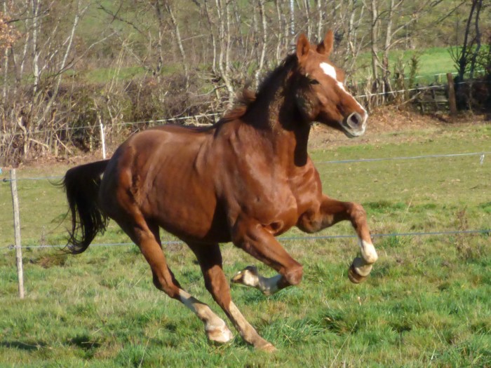 Photo de profil de stadlight
