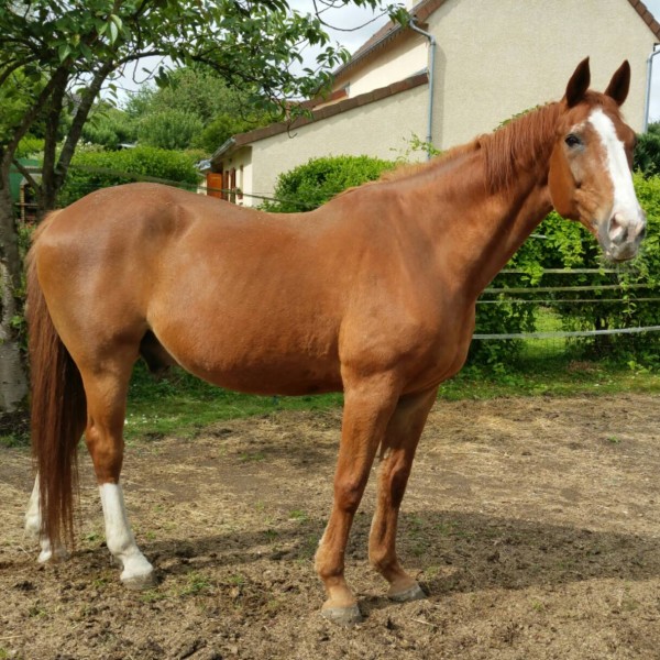 Photo de profil de stellashana