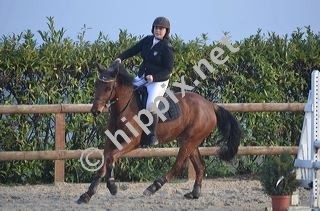 Photo de profil de stephanie60800