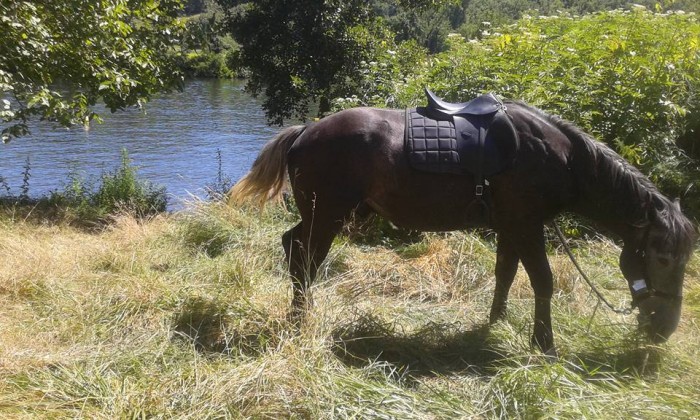 Photo de profil de stherpirit