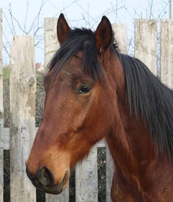 Photo de profil de sucredorge69