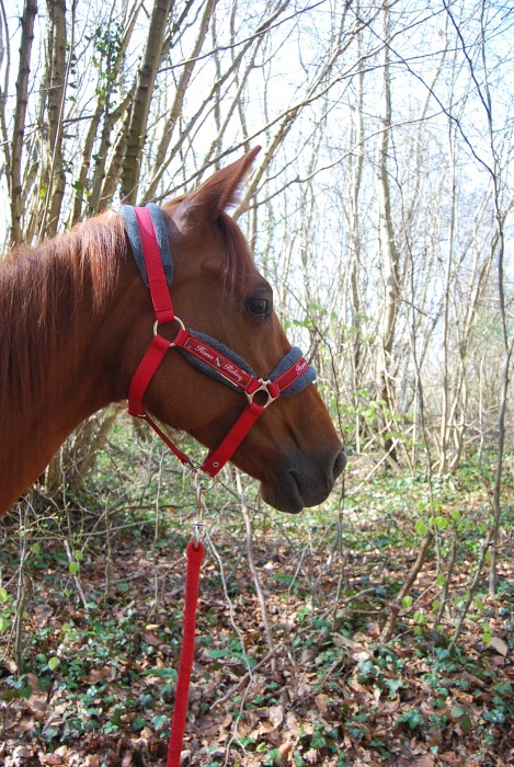 Photo de profil de sweetgirl.09