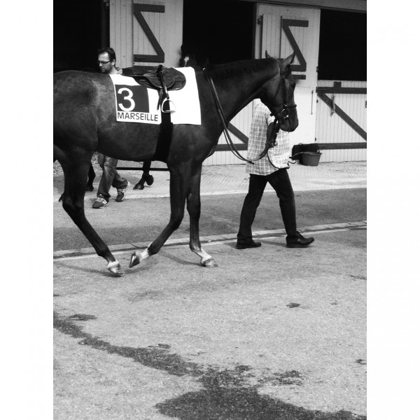 Photo de profil de sylver.star