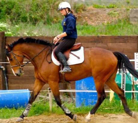 Photo de profil de sylviethel