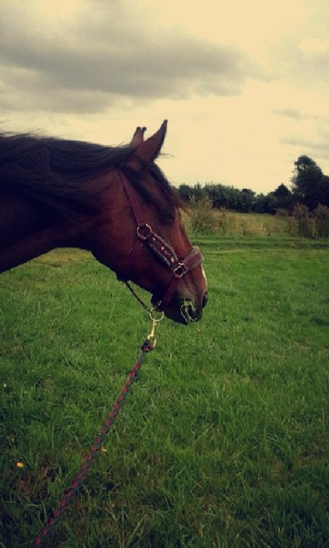 Photo de profil de tabatha60