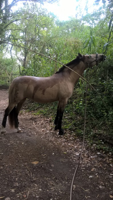 Photo de profil de tafani