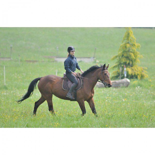 Photo de profil de tea_nva