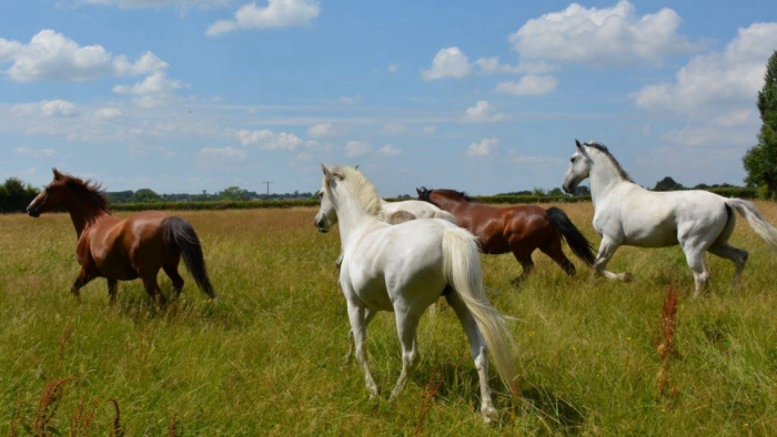 Photo de profil de tempette2