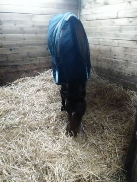 Photo de profil de tenessee28