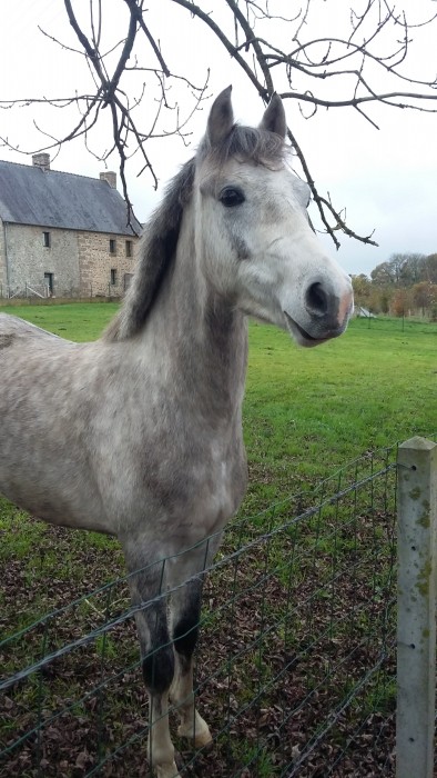 Photo de profil de tetsuiro