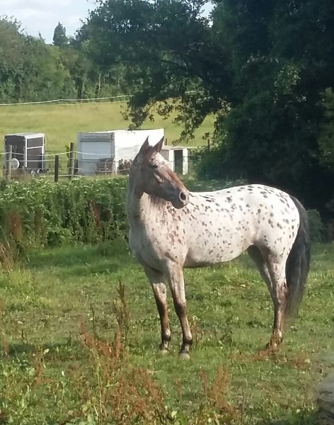 Photo de profil de thayle