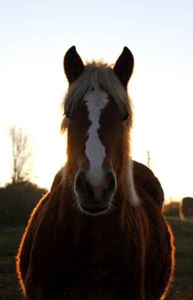 Photo de profil de theiatlas