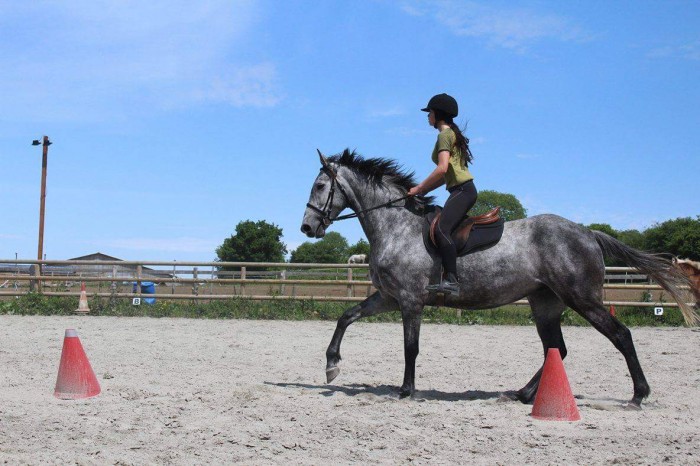 Photo de profil de theoly