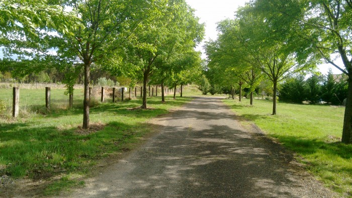 Photo de profil de tictac555