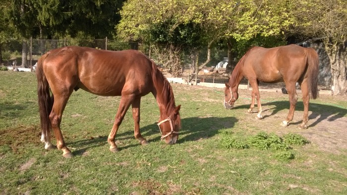 Photo de profil de timeless2013