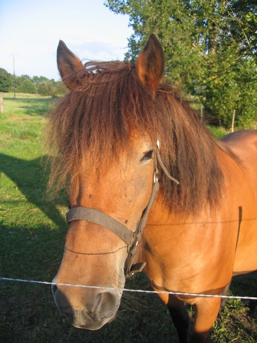 Photo de profil de timideflash