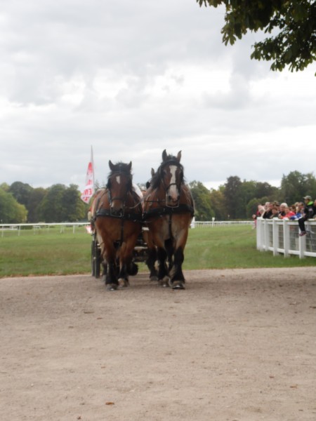 Photo de profil de titice