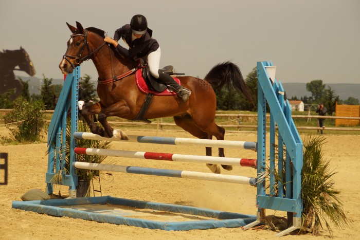 Photo de profil de tmargaux